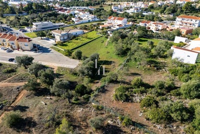 /international/pt/boliqueime-madeira-310104250392/
