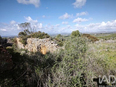 /international/pt/faro-faro-310105060564/