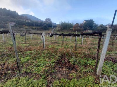 /international/pt/viana-do-castelo-viana-do-castelo-310105058413/