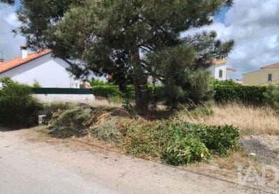 /international/pt/azeitao-sao-lourenco-e-sao-simao-setubal-municipality-310108649066/