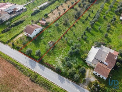 /international/pt/santarem-santarem-310097486377/