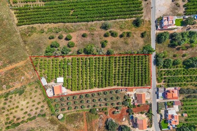 /international/pt/silves-faro-310108248257/