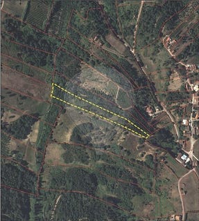 /international/pt/leiria-leiria-310109017993/
