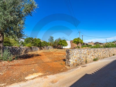 /international/pt/pedrogao-santarem-310103004552/