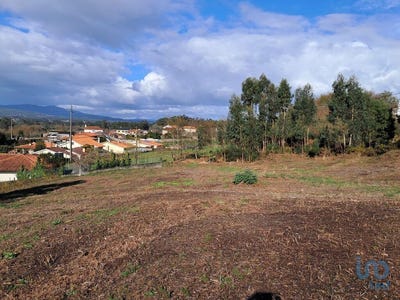 /international/pt/viana-do-castelo-viana-do-castelo-310095561654/