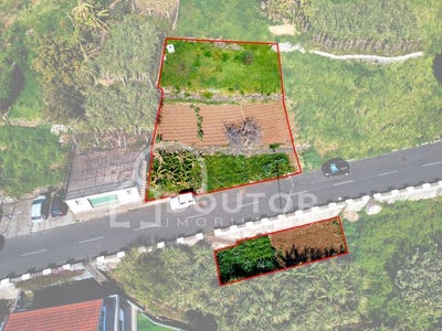 /international/pt/ribeira-brava-madeira-310106399331/