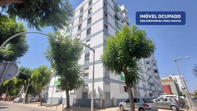 /international/pt/moita-setubal-municipality-310108321325/