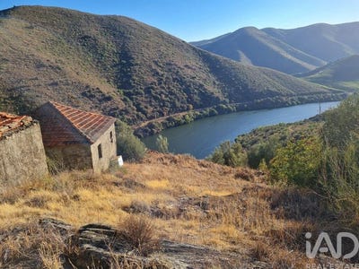 /international/pt/peredo-dos-castelhanos-e-urros-braganca-310107070913/