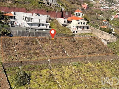 /international/pt/ilha-da-madeira-madeira-310106856665/