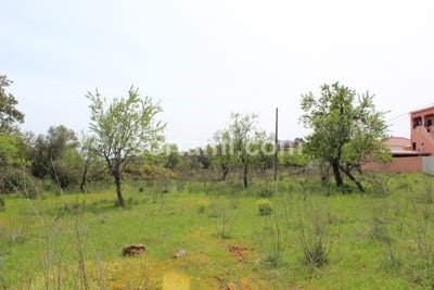 /international/pt/silves-faro-310107215047/
