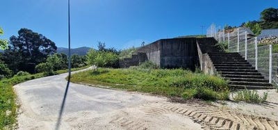/international/pt/mondim-de-basto-vila-real-310106287568/