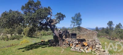 /international/pt/castelo-branco-braganca-310104933745/