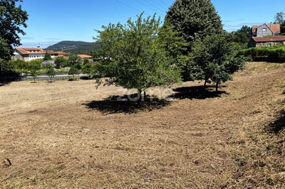/international/pt/esposende-braga-310108921235/?lang=es