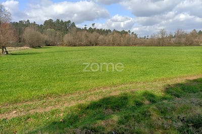 /international/pt/vila-verde-braganca-310094361087/