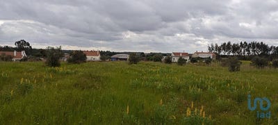 /international/pt/santarem-santarem-310100104807/
