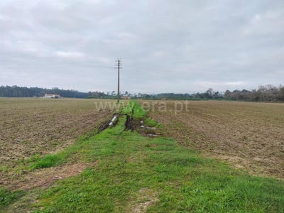 /international/pt/quintas-do-norte-torreira-porto-310103005859/
