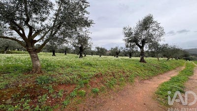 /international/pt/coimbra-lisbon-310097615547/