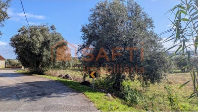 /international/pt/pombal-braga-310100490299/