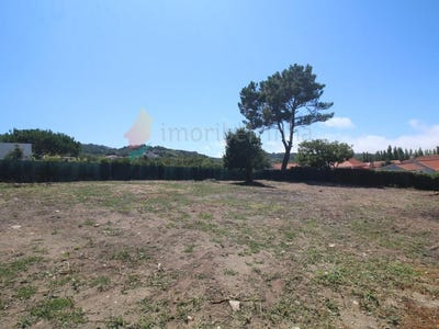 /international/pt/colares-lisbon-310098733857/