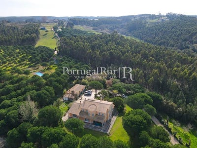 /international/pt/salir-de-matos-leiria-310108652088/?lang=zh-cn