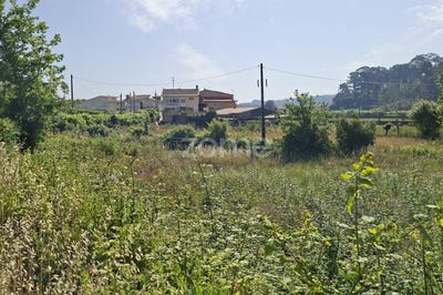 /international/pt/trofa-porto-310108728701/