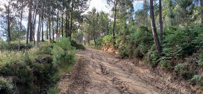/international/pt/escariz-sao-mamede-e-escariz-sao-martinho-braga-310100673051/