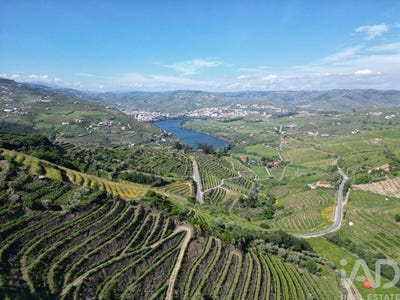 /international/pt/viseu-viseu-310100668107/