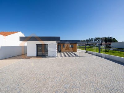 /international/pt/pataias-leiria-120092132300/?lang=zh-cn