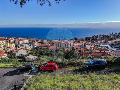/international/pt/canico-madeira-310108264006/
