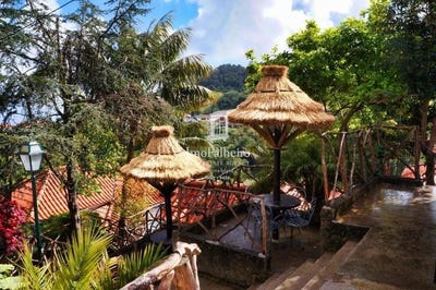 /international/pt/sao-roque-do-faial-madeira-310103330853/