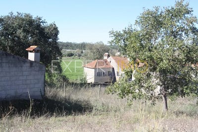 /international/pt/r-principal-1-3105-309-portugal-leiria-leiria-310108862057/