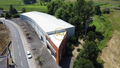 /international/pt/guimaraes-braga-310103466774/