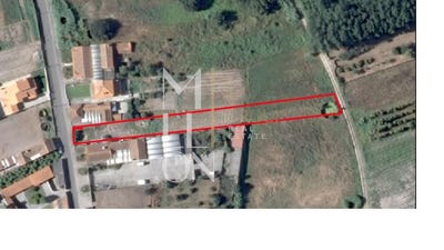 /international/pt/bustos-aveiro-310107587786/