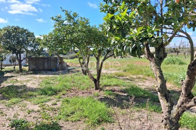 /international/pt/santarem-santarem-310107357556/