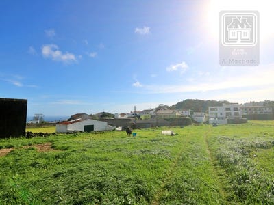 /international/pt/faja-de-cima-azores-310103460649/