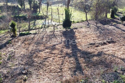 /international/pt/vila-verde-braga-310096502656/