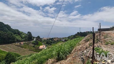 /international/pt/ilha-da-madeira-madeira-310102550501/