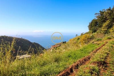 /international/pt/quinta-grande-madeira-310108214147/