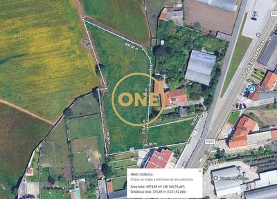 /international/pt/amorim-braga-310108699476/