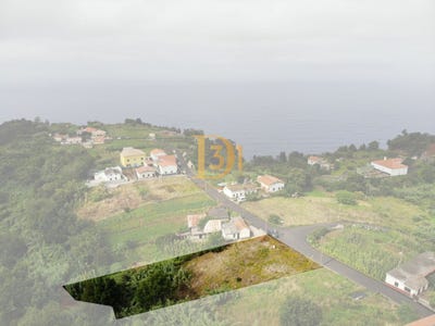 /international/pt/santana-madeira-310101598107/