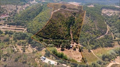 /international/pt/aljezur-faro-310101390888/