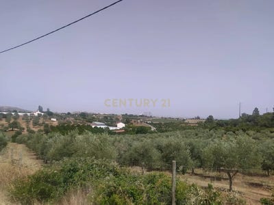 /international/pt/aldeia-da-cruz-elvas-portugal-sao-bras-e-sao-lourenco-portalegre-310106624866/