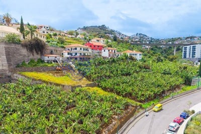 /international/pt/santo-antonio-madeira-310108634185/?lang=fr