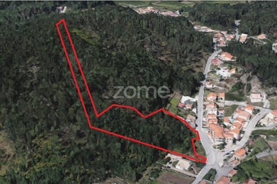 /international/pt/oliveira-de-azemeis-aveiro-310099970190/?lang=en