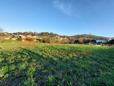 /international/pt/ganfei-viana-do-castelo-310100487257/