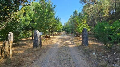 /international/pt/57h8-3x-casegas-portugal-casegas-castelo-branco-310109234494/