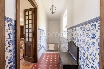 /international/pt/mesao-frio-vila-real-310099784017/