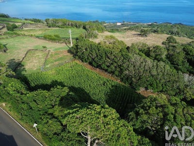 /international/pt/ilha-do-pico-azores-310105241754/