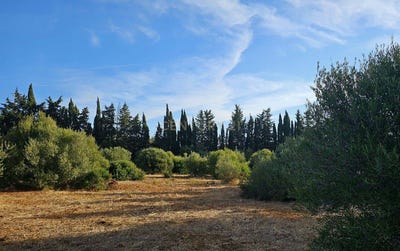 /international/pt/474r-fj-luz-portugal-luz-viana-do-castelo-310107372754/