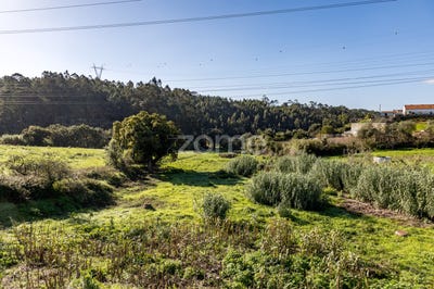 /international/pt/sintra-lisbon-310097003114/